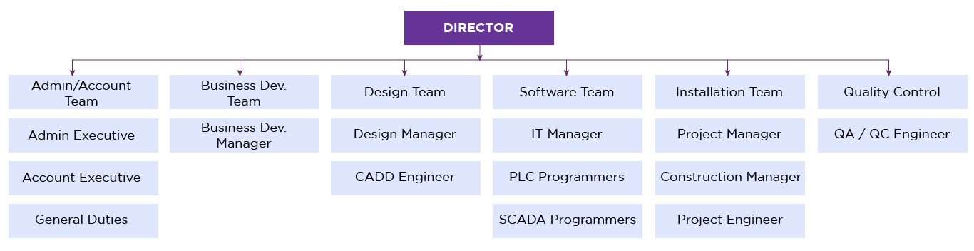 Management Team
